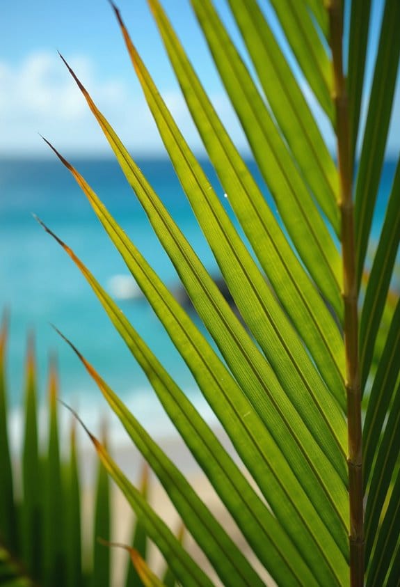 natural palm health strategies
