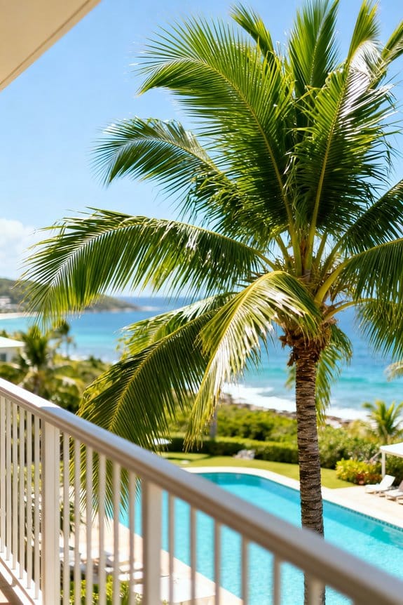 top balcony palm selections